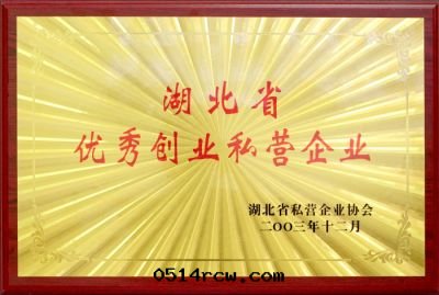 優秀创業私營企業